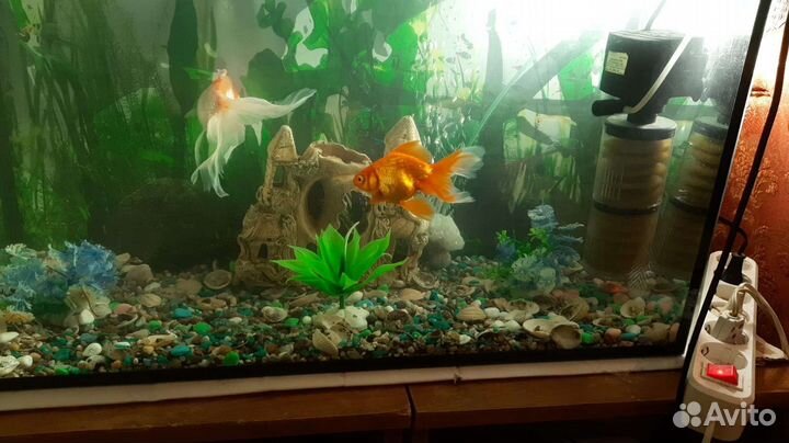 Аквариум