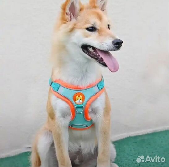 Шлейка для маленькой собаки