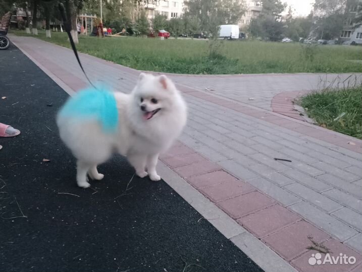 Ищет подругу