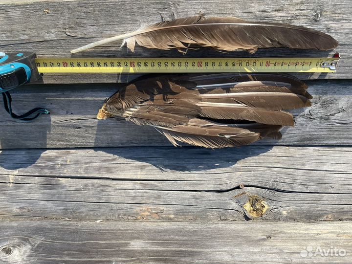 Цветные перья для ловцов снов творчества