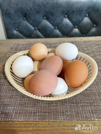 Яйцо столовое