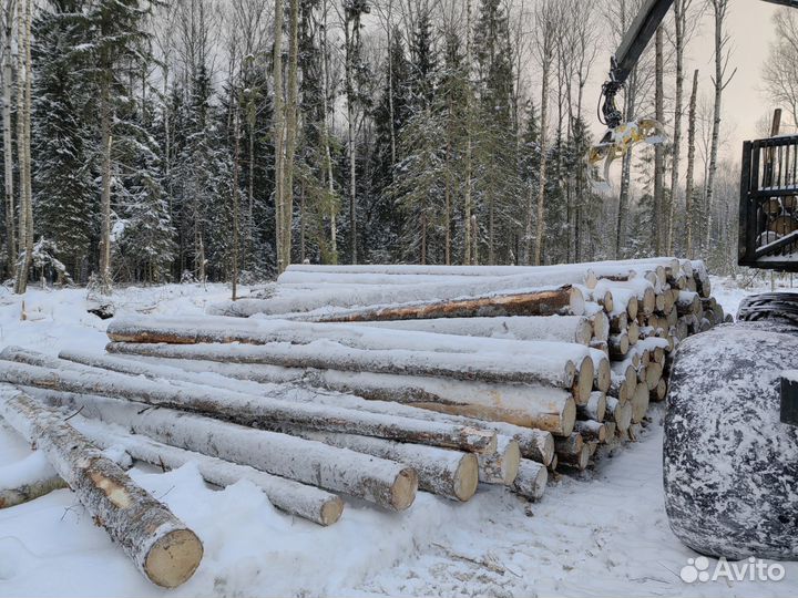 Круглый лес Ель, берёза, осина Всё в наличии