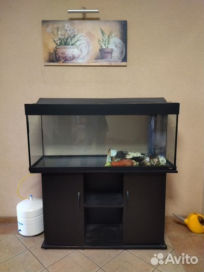 Аквариум с тумбой juwel