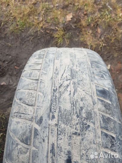 Tigar High Performance 205/55 R16 94V