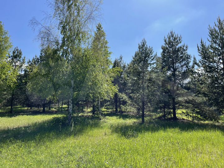 Участок 9,8 га (СНТ, ДНП)