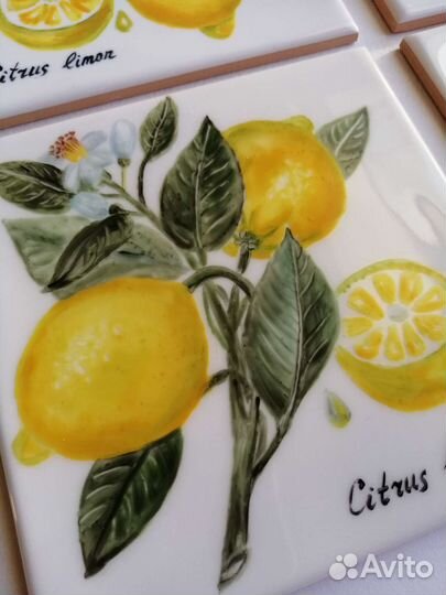 Панно с фруктами. Ручная роспись плитки. Ботаника