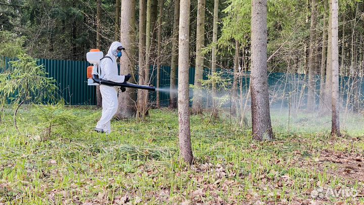 Обработка от клещей