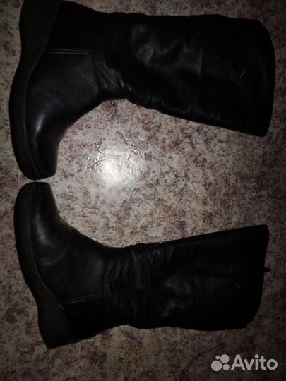 Сапоги натуральная кожа