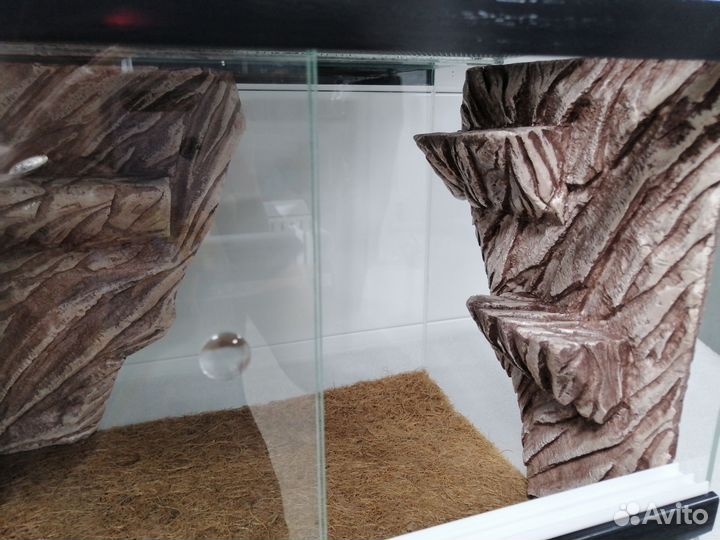 Террариум для рептилий