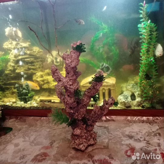 Декор для аквариума