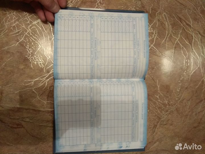 Дневник школьника