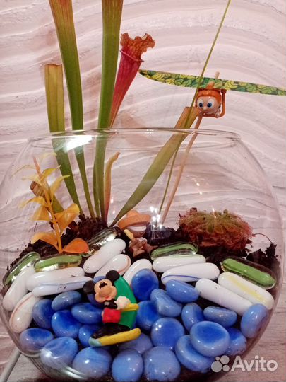 Флорариумы