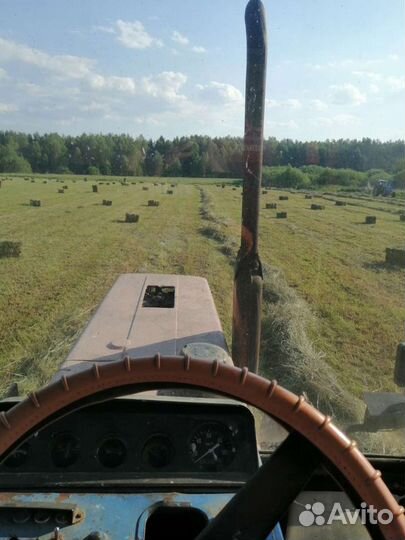 Сено В тюках кипах 2024