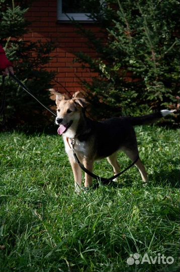 Годовалая девчуля