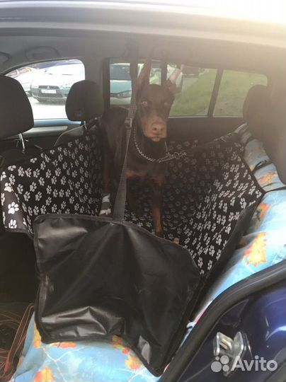 Автомобильные гамаки для собак