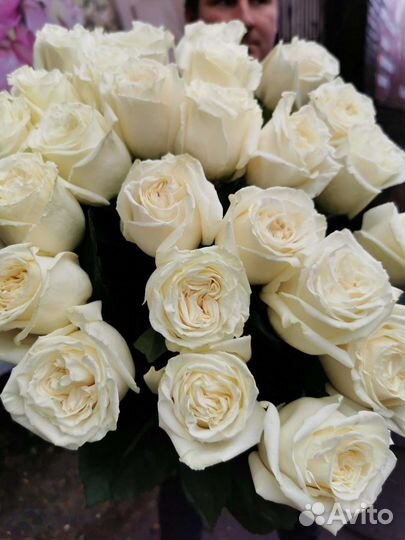 Роза пионовидная белая Букет белых роз
