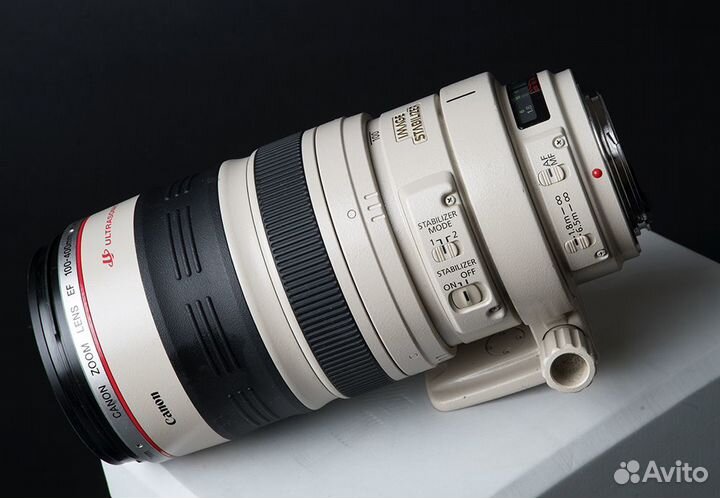 Canon EF 100-400mm f/4.5-5.6L IS USM