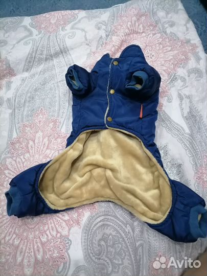 Комбинезон для собаки