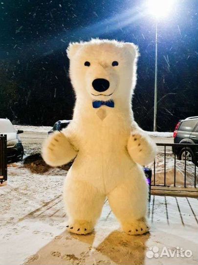 Поздравление Мишка Тедди и Большой Белый Мишка