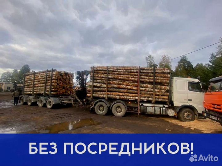 Дрова с доставкой