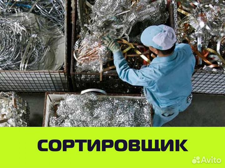 Сортировщик, оплата по пятницам