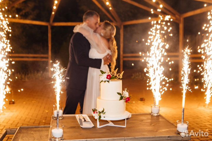 Поющая ведущая, тамада