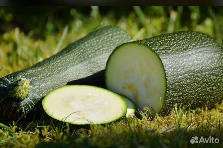 Кабачки свежие /доставка