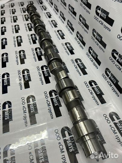 Распределительный вал (распредвал) Cummins QSC