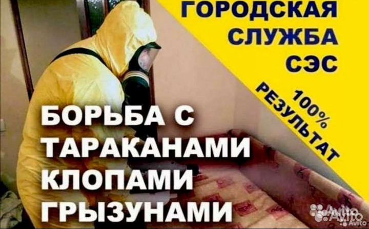Уничтожение тараканов клопов мышей блох клещей