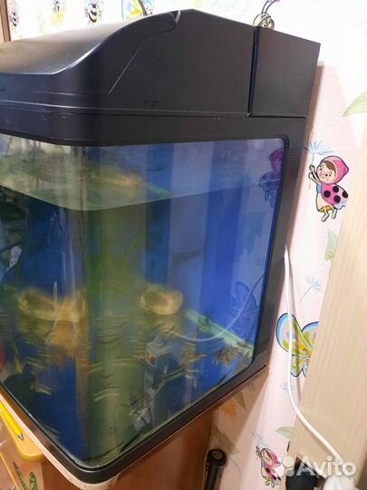 Аквариум Juwel Lido на 120 литров