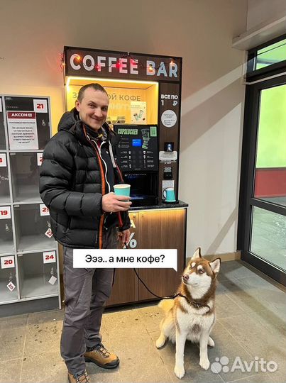 Кофейный аппарат, автомат кофе с собой