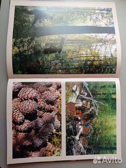 Чикой - светлое око Байкала