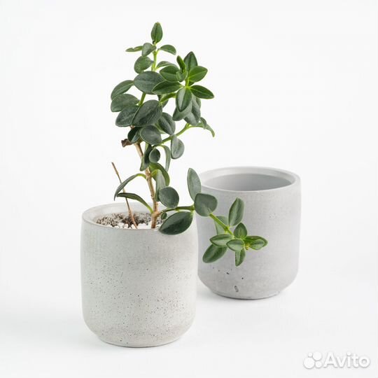 Кашпо для цветов бетон