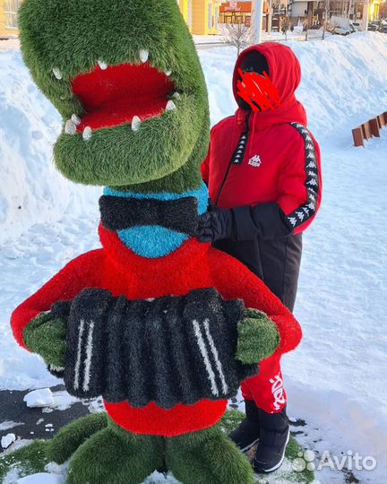 Пуховик мужской kappa