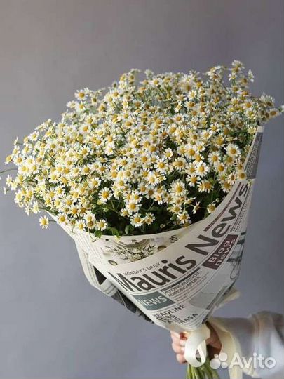 Живые цветы букеты ромашки,букет цветов ромашек