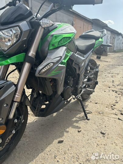 Regulmoto T-Leopard 300