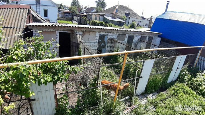 Зоогостиница для собак, передержка