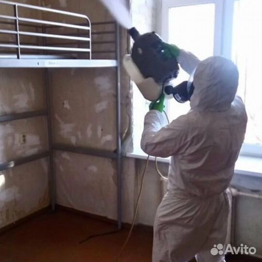 Дезинфекция тараканов клопов крыс плесени запаха