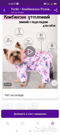 Комбинезон для собаки