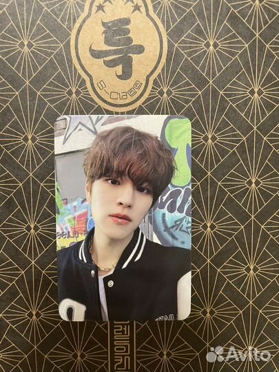 Stray kids 5 star карты