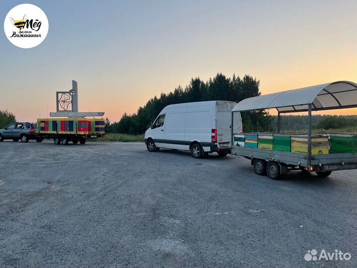 Мёд горный, липовый, гречишный. Урожай 2023