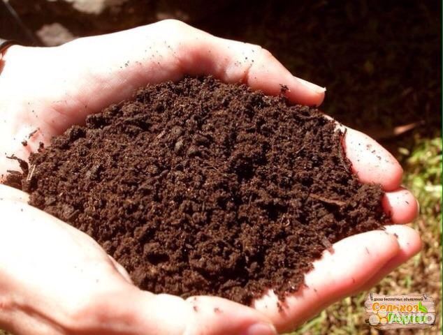 Продам перегной,навоз,опилки, хорошего качества
