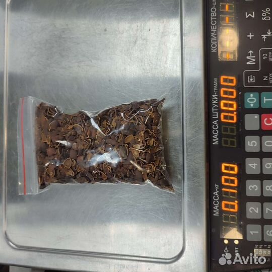 Скорлупа кедрового ореха