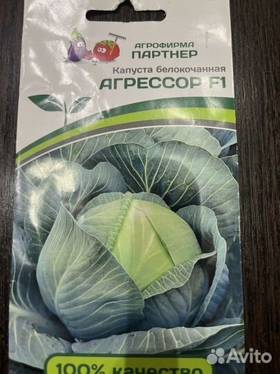 Рассада белокачаной капусты