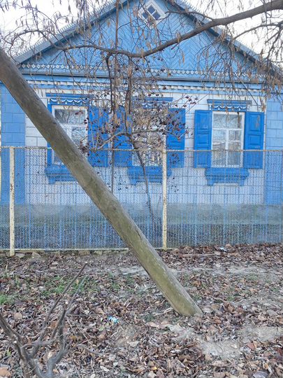 Дом 52,6 м² на участке 4,7 сот.