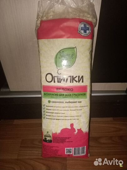 Сирийский хомяк