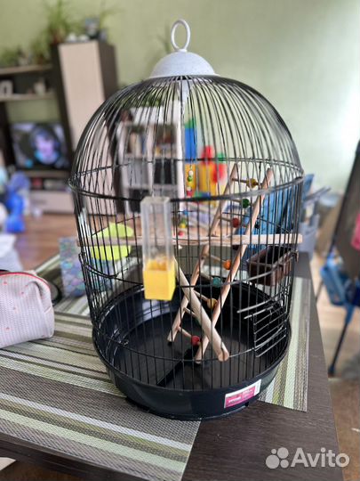 Клетка для попугая