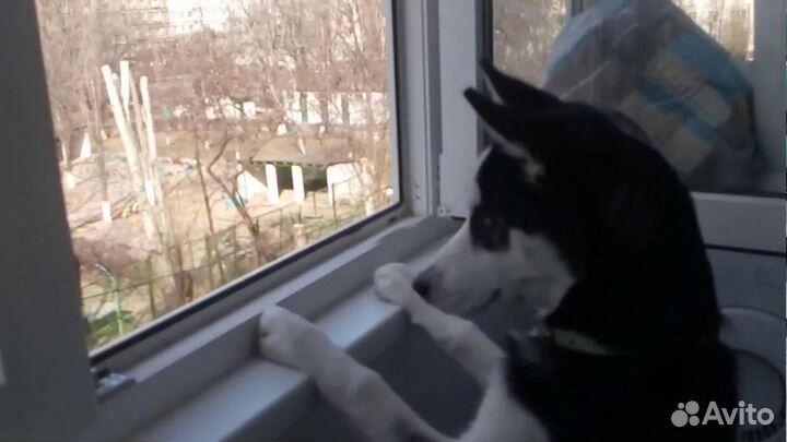 Монтаж окон пвх