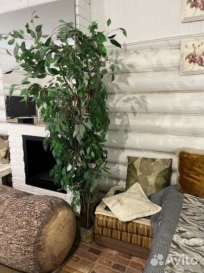 Исскуственное дерево фикус