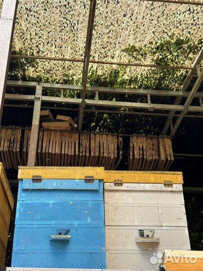 Ульи, улики, лежаки